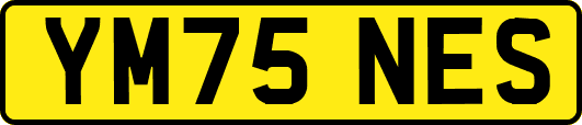 YM75NES