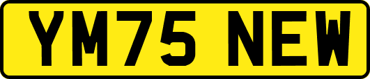 YM75NEW