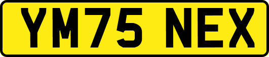 YM75NEX