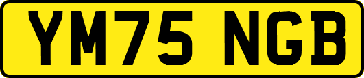 YM75NGB