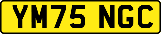 YM75NGC