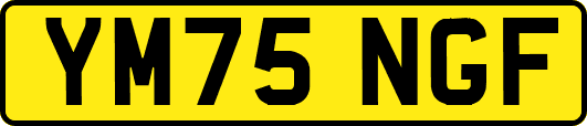 YM75NGF