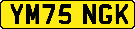 YM75NGK