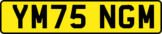YM75NGM