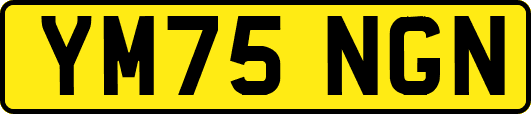 YM75NGN