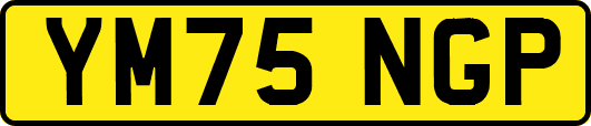 YM75NGP
