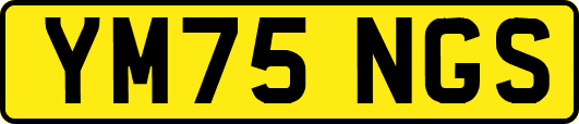 YM75NGS