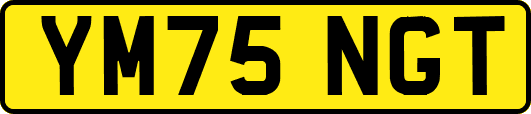 YM75NGT