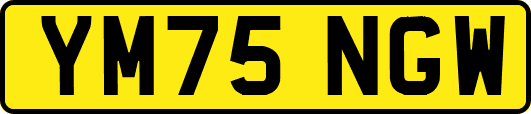 YM75NGW