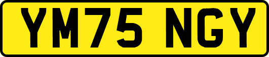 YM75NGY