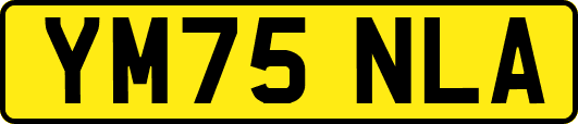 YM75NLA