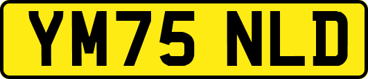 YM75NLD