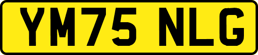 YM75NLG