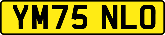 YM75NLO