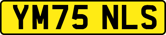 YM75NLS