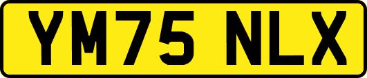 YM75NLX