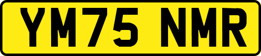 YM75NMR