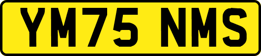 YM75NMS