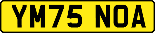 YM75NOA