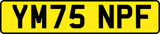 YM75NPF