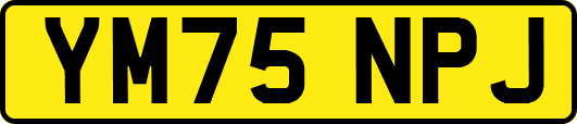 YM75NPJ
