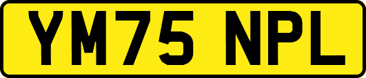 YM75NPL