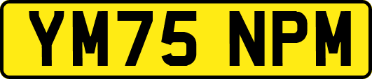 YM75NPM