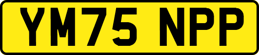 YM75NPP