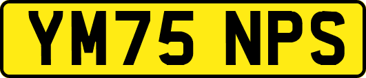 YM75NPS