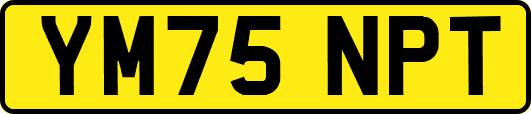 YM75NPT