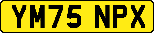 YM75NPX