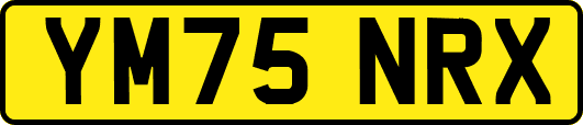 YM75NRX
