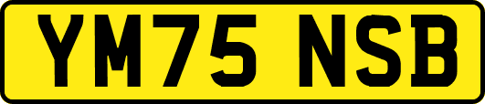 YM75NSB