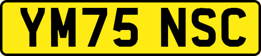 YM75NSC