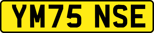 YM75NSE
