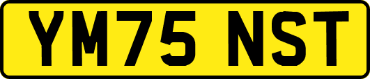 YM75NST