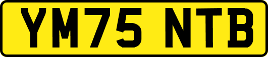 YM75NTB