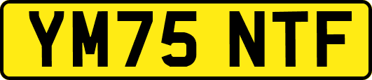 YM75NTF