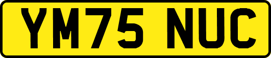 YM75NUC