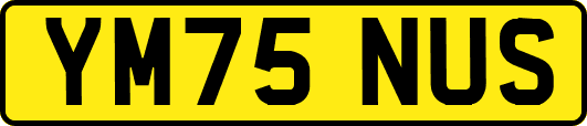YM75NUS