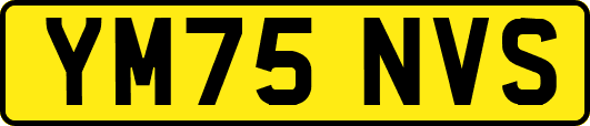 YM75NVS