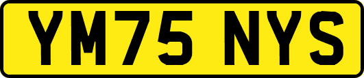 YM75NYS