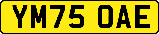 YM75OAE