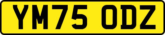 YM75ODZ