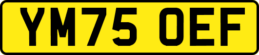 YM75OEF