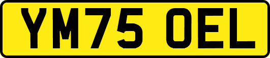 YM75OEL