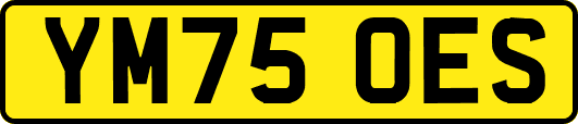 YM75OES