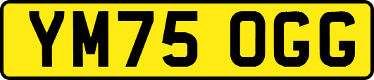 YM75OGG