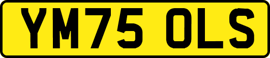 YM75OLS