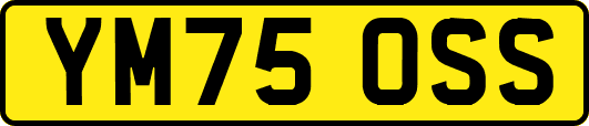 YM75OSS
